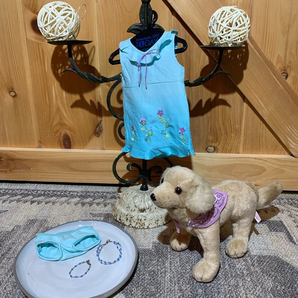 American Girl Kailey Retired Outfit and Dog